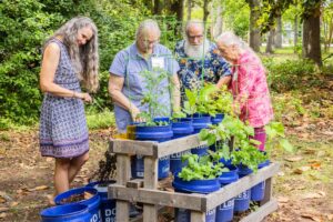 Dementia Patients looking at a garden